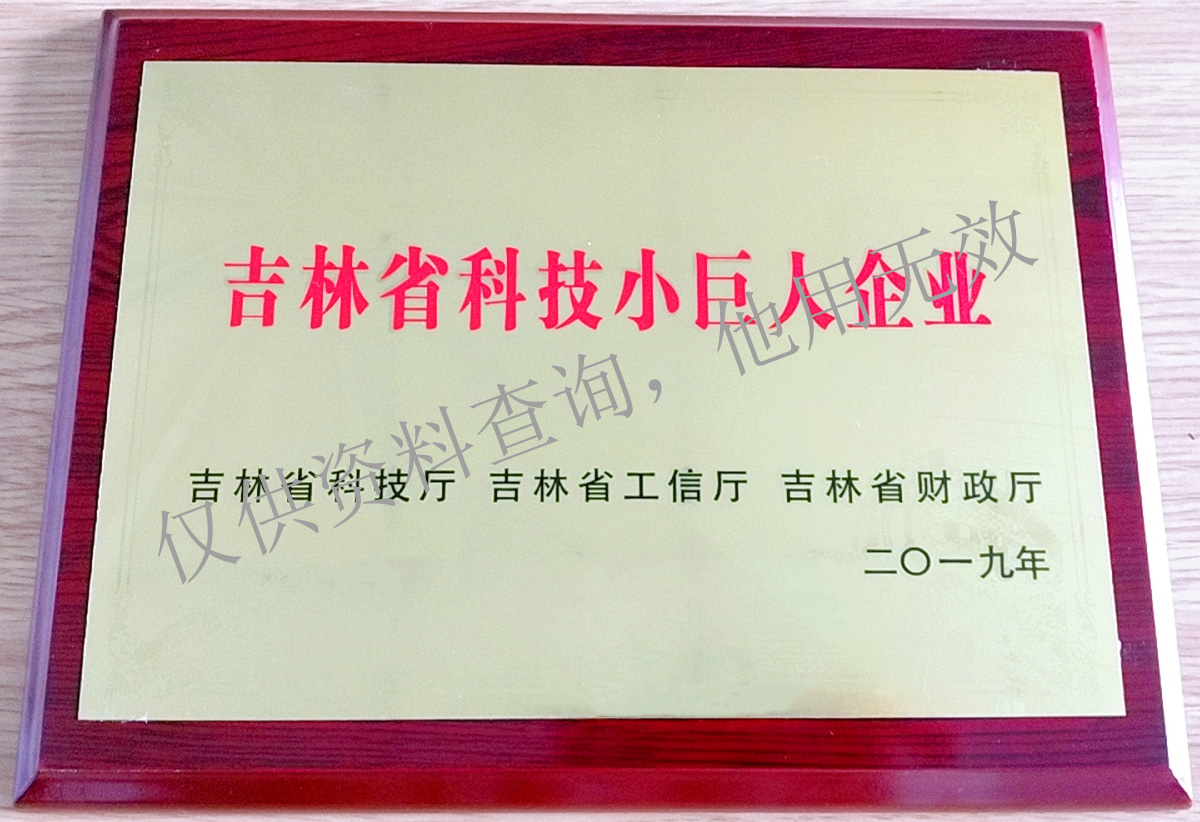 吉林省科技小巨人企業(yè)